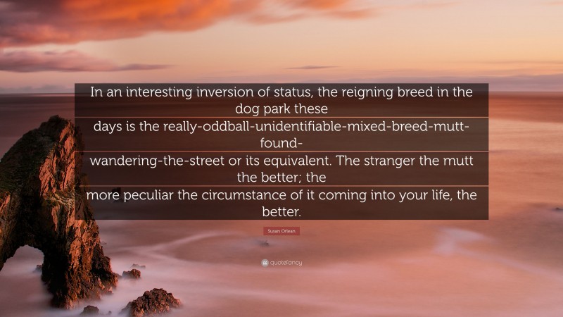 Susan Orlean Quote: “In an interesting inversion of status, the reigning breed in the dog park these days is the really-oddball-unidentifiable-mixed-breed-mutt-found-wandering-the-street or its equivalent. The stranger the mutt the better; the more peculiar the circumstance of it coming into your life, the better.”