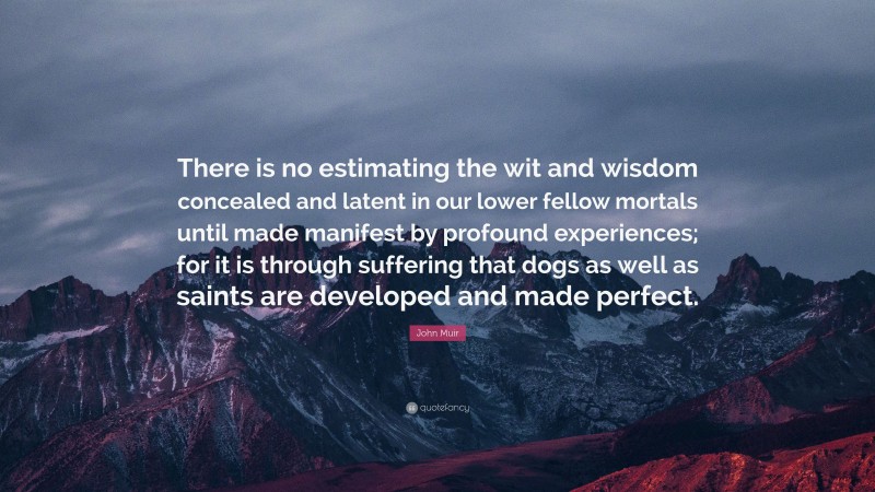John Muir Quote: “There is no estimating the wit and wisdom concealed and latent in our lower fellow mortals until made manifest by profound experiences; for it is through suffering that dogs as well as saints are developed and made perfect.”