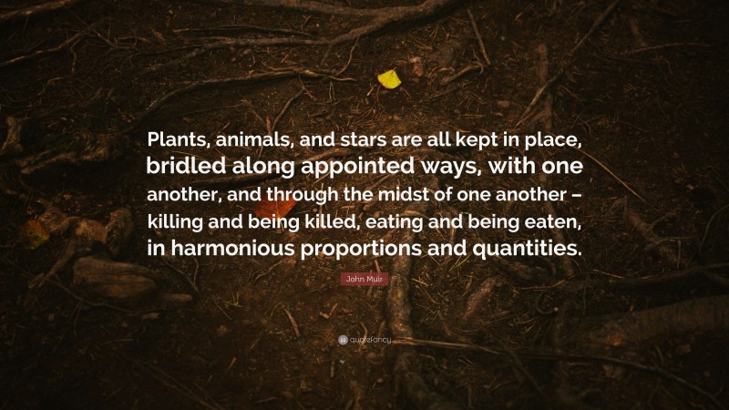 John Muir Quote: “Plants, animals, and stars are all kept in place, bridled along appointed ways, with one another, and through the midst of one another – killing and being killed, eating and being eaten, in harmonious proportions and quantities.”