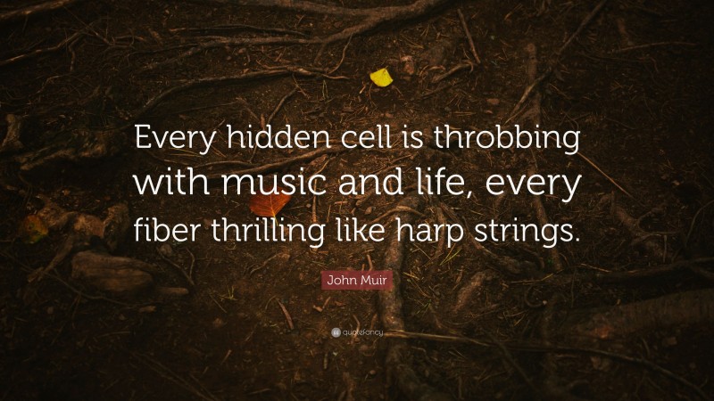 John Muir Quote: “Every hidden cell is throbbing with music and life, every fiber thrilling like harp strings.”