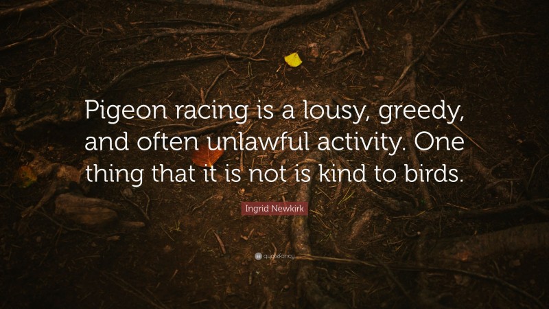 Ingrid Newkirk Quote: “Pigeon racing is a lousy, greedy, and often unlawful activity. One thing that it is not is kind to birds.”