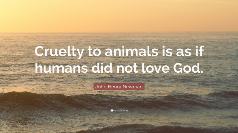 John Henry Newman Quote: “Cruelty to animals is as if humans did not love God.”