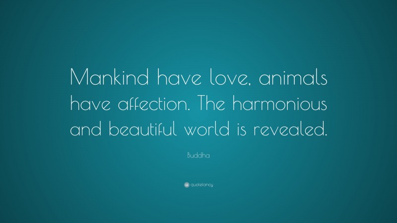 Buddha Quote: “Mankind have love, animals have affection. The harmonious and beautiful world is revealed.”