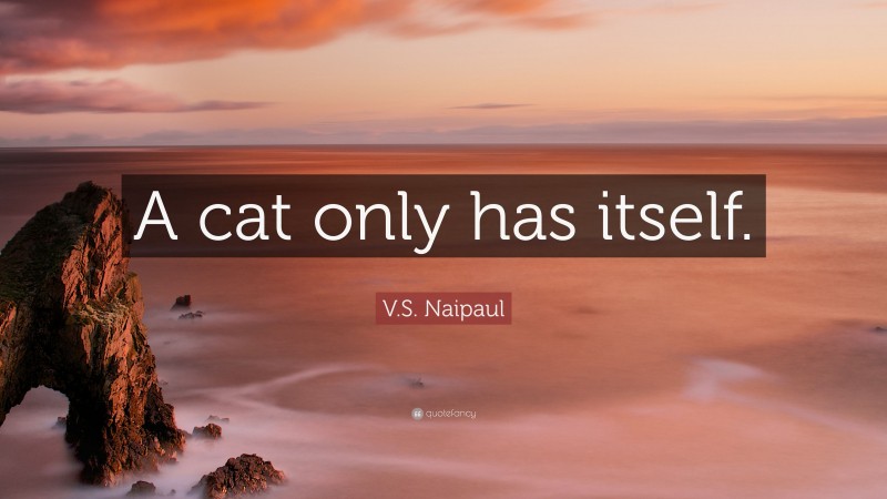 V.S. Naipaul Quote: “A cat only has itself.”