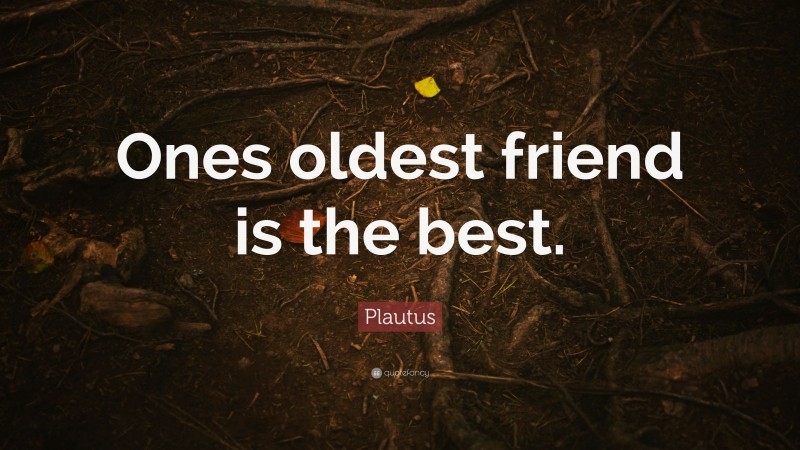 Plautus Quote: “Ones oldest friend is the best.”