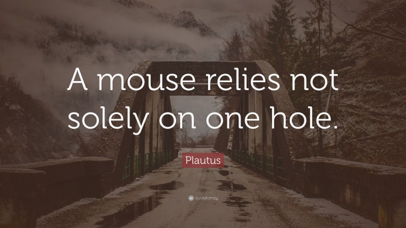 Plautus Quote: “A mouse relies not solely on one hole.”