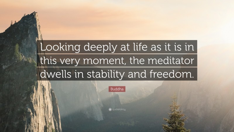 Buddha Quote: “Looking deeply at life as it is in this very moment, the meditator dwells in stability and freedom.”