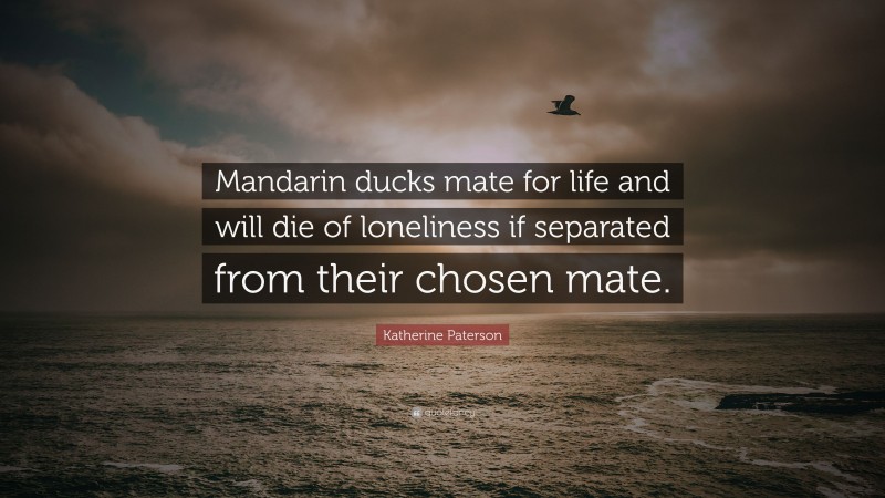 Katherine Paterson Quote: “Mandarin ducks mate for life and will die of loneliness if separated from their chosen mate.”
