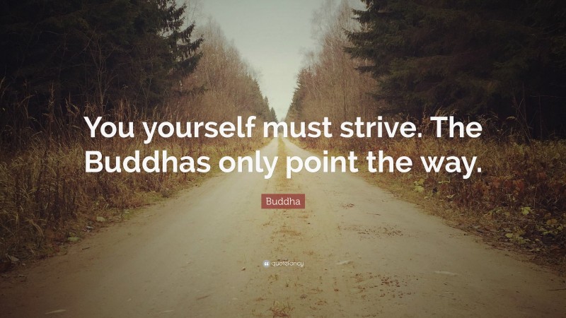 Buddha Quote: “You yourself must strive. The Buddhas only point the way.”