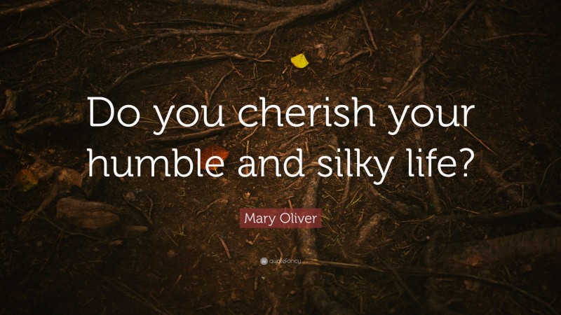 Mary Oliver Quote: “Do you cherish your humble and silky life?”