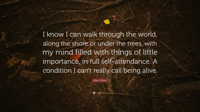 Mary Oliver Quote: “I know I can walk through the world, along the shore or under the trees, with my mind filled with things of little importance, in full self-attendance. A condition I can’t really call being alive.”