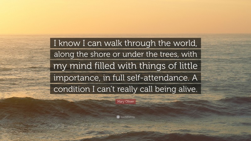 Mary Oliver Quote: “I know I can walk through the world, along the shore or under the trees, with my mind filled with things of little importance, in full self-attendance. A condition I can’t really call being alive.”