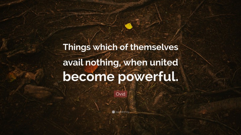 Ovid Quote: “Things which of themselves avail nothing, when united become powerful.”