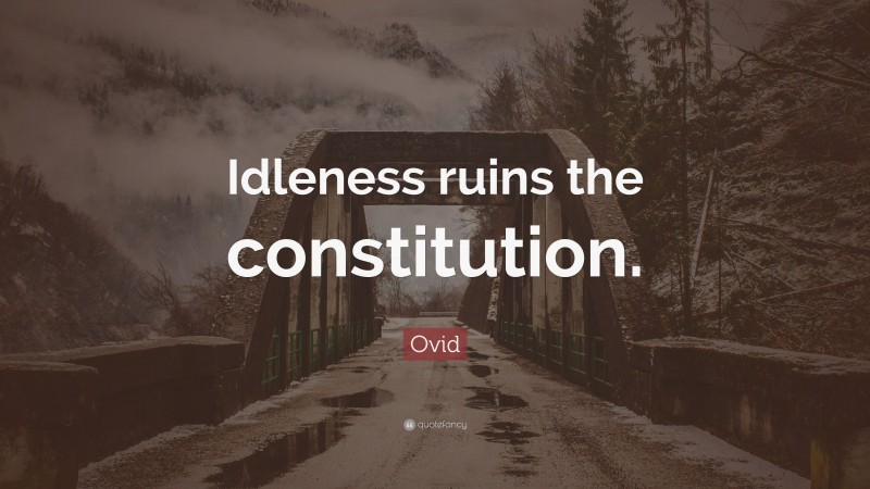 Ovid Quote: “Idleness ruins the constitution.”