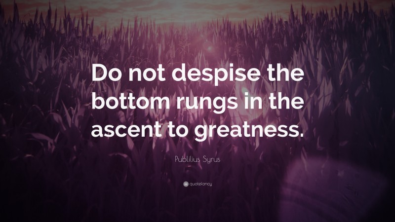 Publilius Syrus Quote: “Do not despise the bottom rungs in the ascent to greatness.”