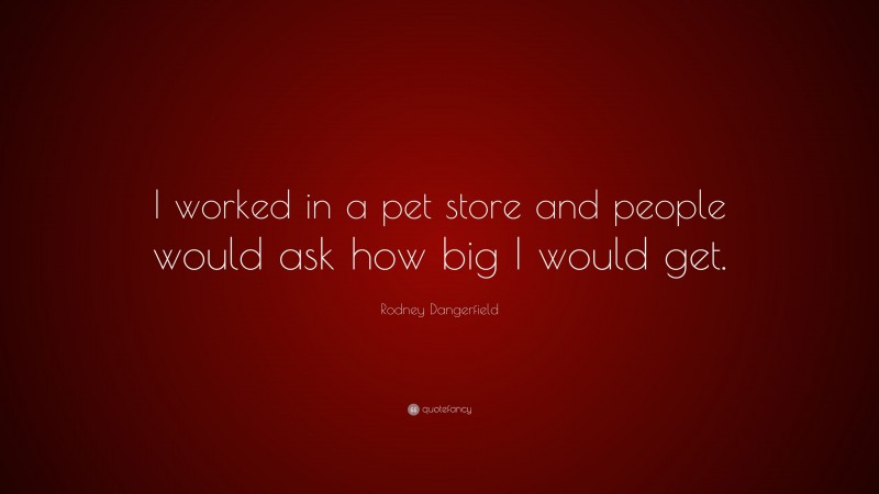 Rodney Dangerfield Quote: “I worked in a pet store and people would ask how big I would get.”