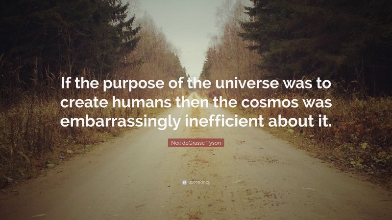 Neil deGrasse Tyson Quote: “If the purpose of the universe was to create humans then the cosmos was embarrassingly inefficient about it.”