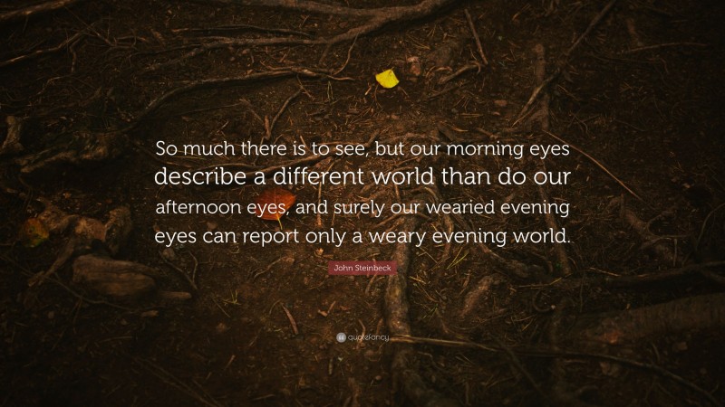 John Steinbeck Quote: “So much there is to see, but our morning eyes describe a different world than do our afternoon eyes, and surely our wearied evening eyes can report only a weary evening world.”