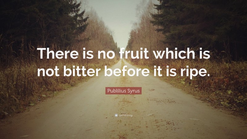 Publilius Syrus Quote: “There is no fruit which is not bitter before it is ripe.”