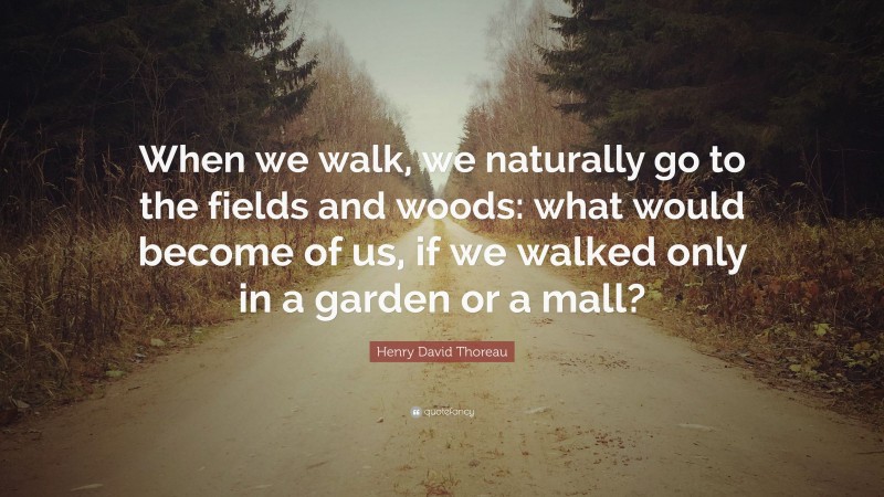 Henry David Thoreau Quote: “When we walk, we naturally go to the fields and woods: what would become of us, if we walked only in a garden or a mall?”