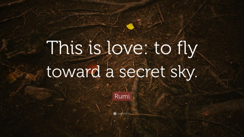 Rumi Quote: “This is love: to fly toward a secret sky.”