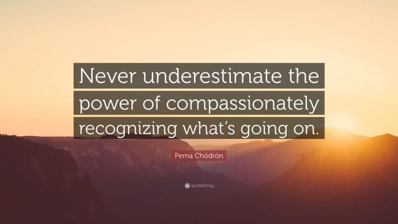 Pema Chödrön Quote: “Never underestimate the power of compassionately recognizing what’s going on.”