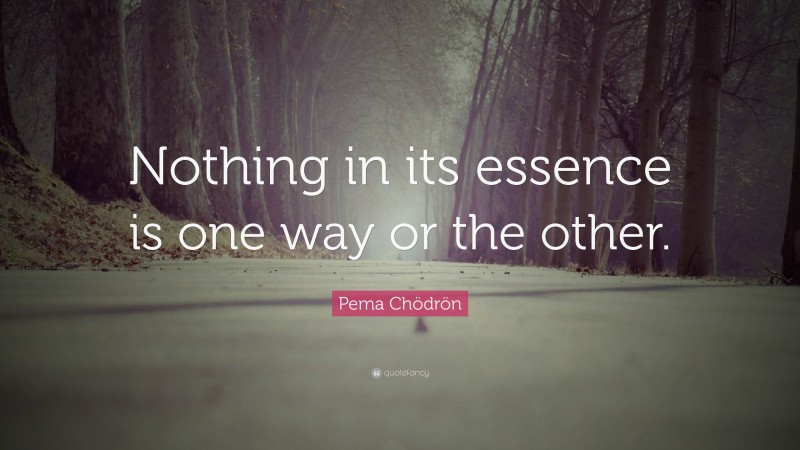 Pema Chödrön Quote: “Nothing in its essence is one way or the other.”