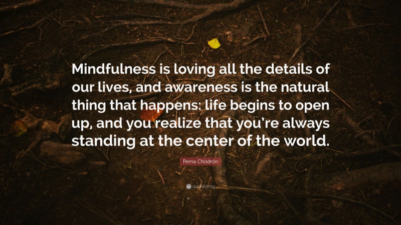 Pema Chödrön Quote: “Mindfulness is loving all the details of our lives, and awareness is the natural thing that happens: life begins to open up, and you realize that you’re always standing at the center of the world.”