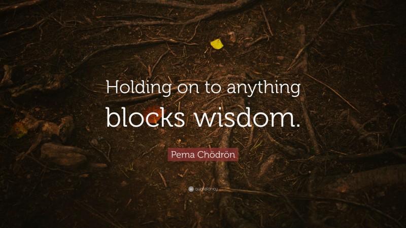 Pema Chödrön Quote: “Holding on to anything blocks wisdom.”