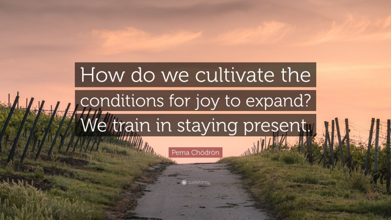 Pema Chödrön Quote: “How do we cultivate the conditions for joy to expand? We train in staying present.”