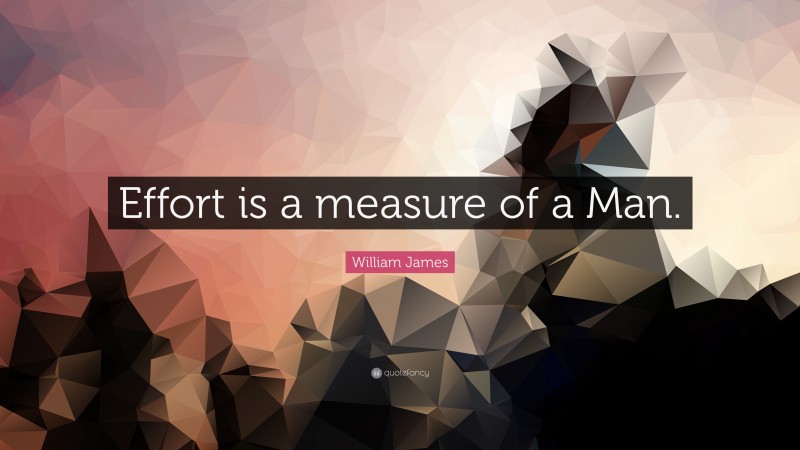 William James Quote: “Effort is a measure of a Man.”