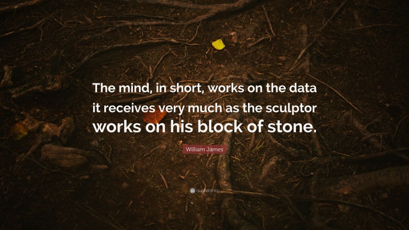 William James Quote: “The mind, in short, works on the data it receives very much as the sculptor works on his block of stone.”