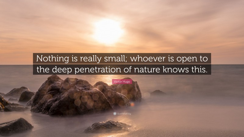 Victor Hugo Quote: “Nothing is really small; whoever is open to the deep penetration of nature knows this.”