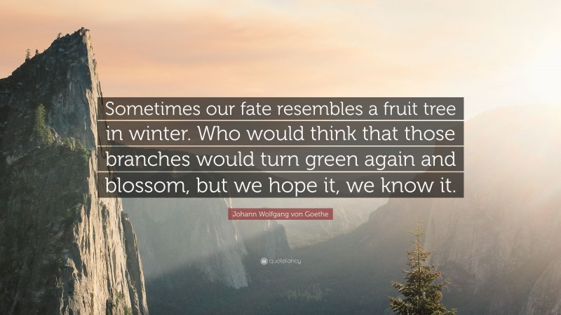 Johann Wolfgang von Goethe Quote: “Sometimes our fate resembles a fruit tree in winter. Who would think that those branches would turn green again and blossom, but we hope it, we know it.”