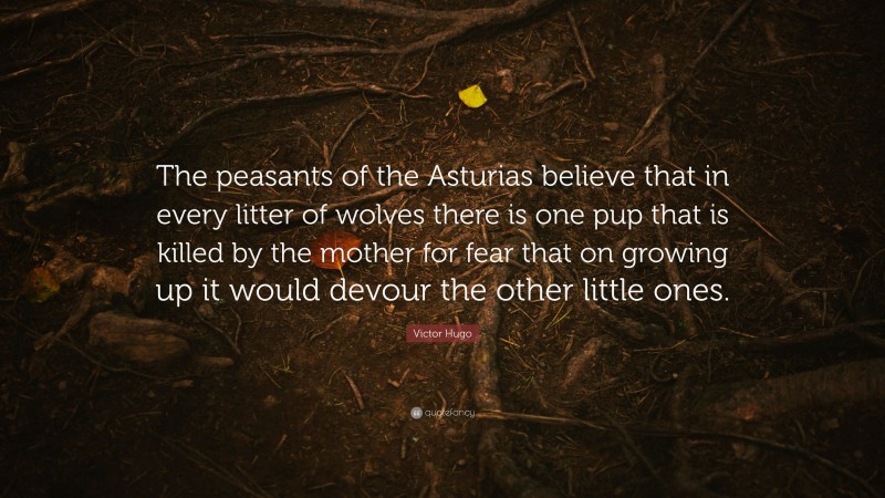 Victor Hugo Quote: “The peasants of the Asturias believe that in every litter of wolves there is one pup that is killed by the mother for fear that on growing up it would devour the other little ones.”