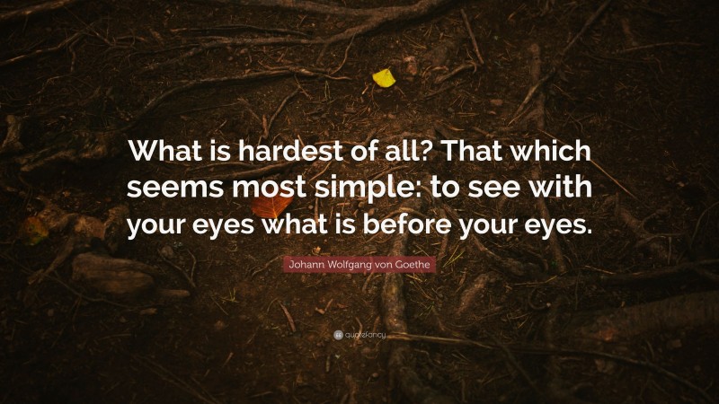 Johann Wolfgang von Goethe Quote: “What is hardest of all? That which seems most simple: to see with your eyes what is before your eyes.”