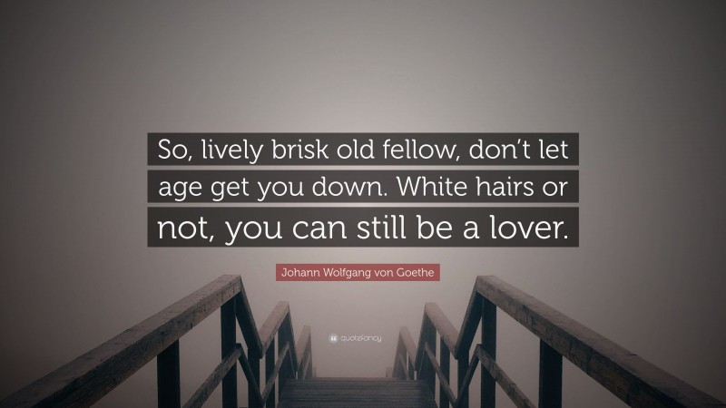 Johann Wolfgang von Goethe Quote: “So, lively brisk old fellow, don’t let age get you down. White hairs or not, you can still be a lover.”