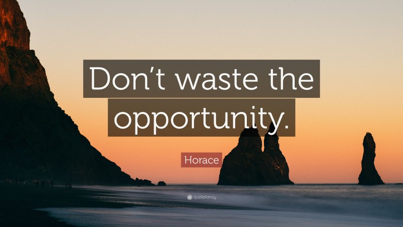 Horace Quote: “Don’t waste the opportunity.”