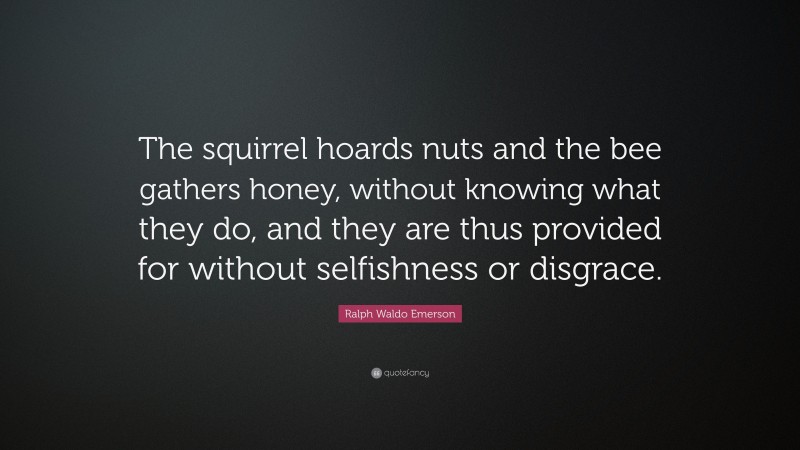 Ralph Waldo Emerson Quote: “The squirrel hoards nuts and the bee gathers honey, without knowing what they do, and they are thus provided for without selfishness or disgrace.”