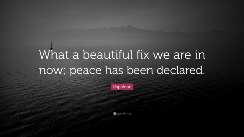 Napoleon Quote: “What a beautiful fix we are in now; peace has been declared.”
