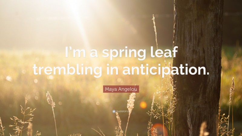 Maya Angelou Quote: “I’m a spring leaf trembling in anticipation.”