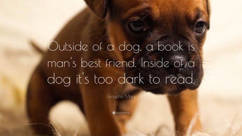 Groucho Marx Quote: “Outside of a dog, a book is man's best friend