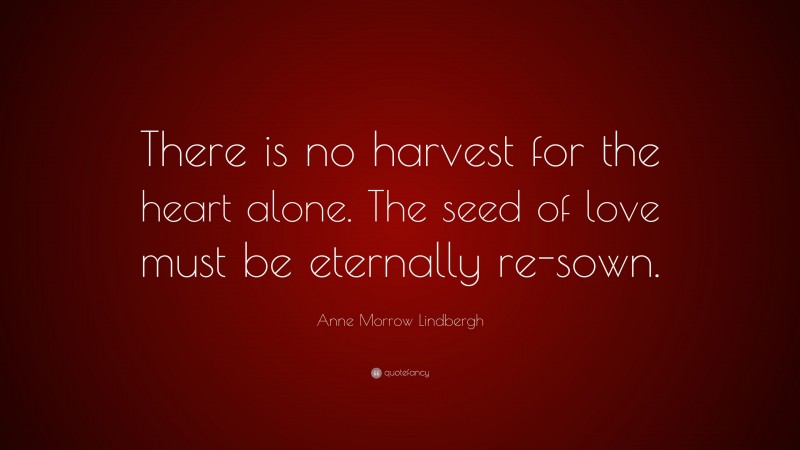 Anne Morrow Lindbergh Quote: “There is no harvest for the heart alone. The seed of love must be eternally re-sown.”