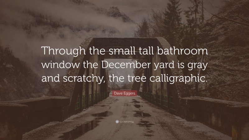 Dave Eggers Quote: “Through the small tall bathroom window the December yard is gray and scratchy, the tree calligraphic.”