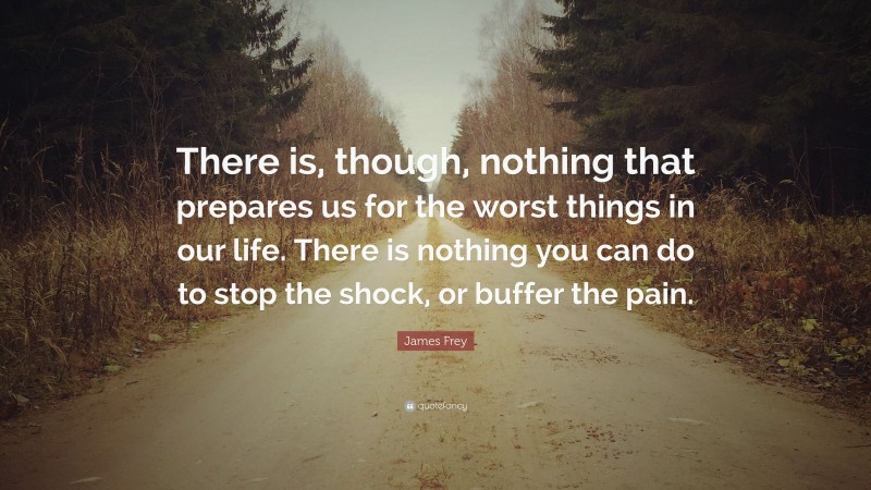 James Frey Quote: “There is, though, nothing that prepares us for the worst things in our life. There is nothing you can do to stop the shock, or buffer the pain.”