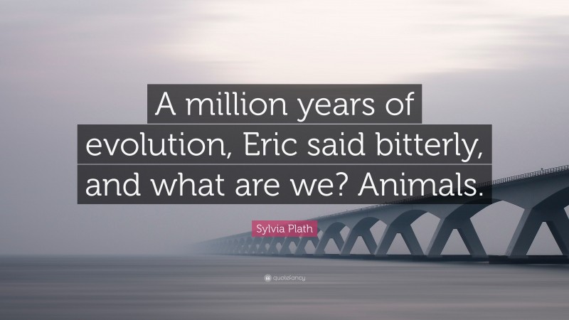 Sylvia Plath Quote: “A million years of evolution, Eric said bitterly, and what are we? Animals.”