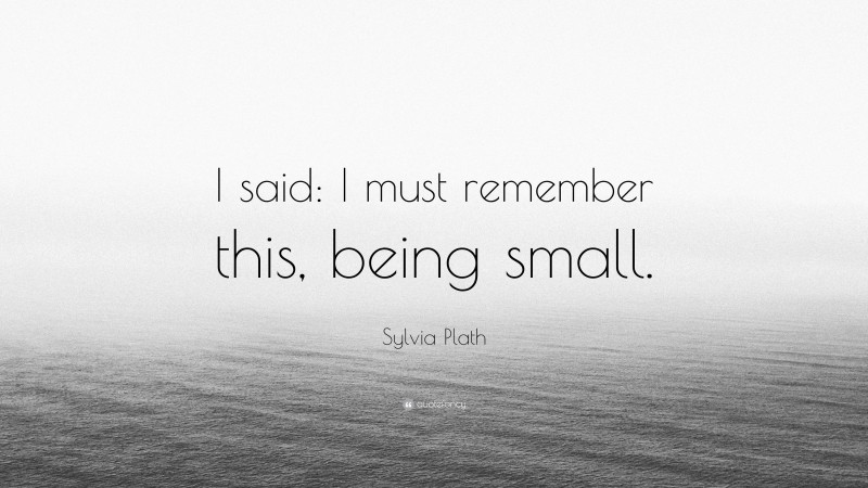Sylvia Plath Quote: “I said: I must remember this, being small.”