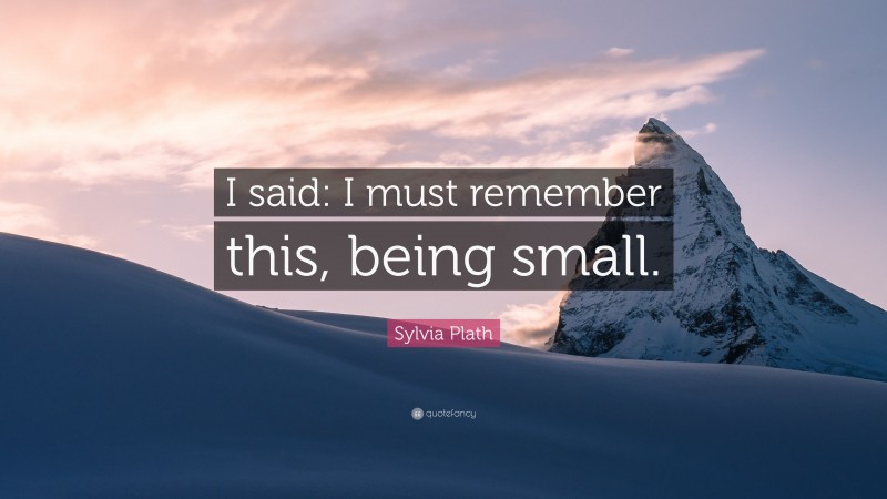 Sylvia Plath Quote: “I said: I must remember this, being small.”
