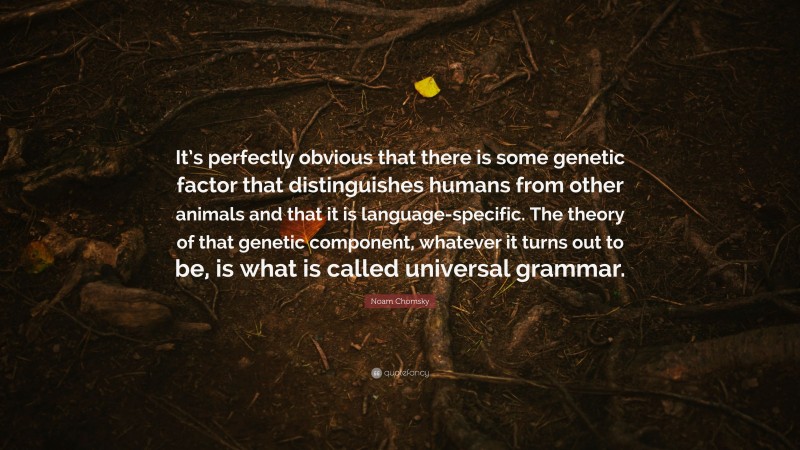 Noam Chomsky Quote: “It’s perfectly obvious that there is some genetic factor that distinguishes humans from other animals and that it is language-specific. The theory of that genetic component, whatever it turns out to be, is what is called universal grammar.”