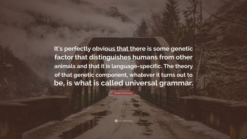 Noam Chomsky Quote: “It’s perfectly obvious that there is some genetic factor that distinguishes humans from other animals and that it is language-specific. The theory of that genetic component, whatever it turns out to be, is what is called universal grammar.”
